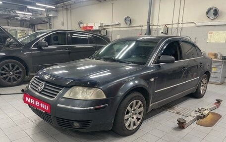 Volkswagen Passat B5+ рестайлинг, 2003 год, 450 000 рублей, 2 фотография