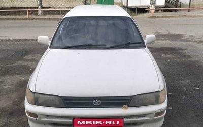 Toyota Corolla, 2001 год, 400 000 рублей, 1 фотография