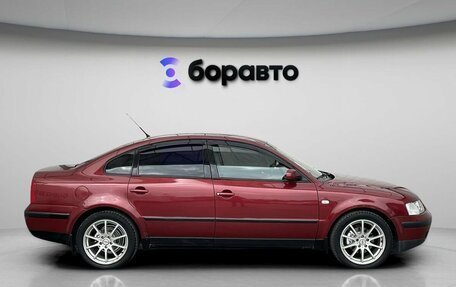 Volkswagen Passat B5+ рестайлинг, 1998 год, 365 000 рублей, 9 фотография