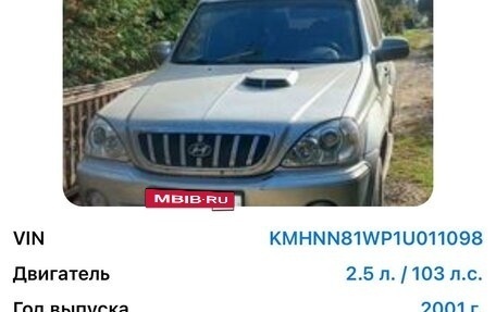 Hyundai Terracan I, 2001 год, 879 000 рублей, 17 фотография