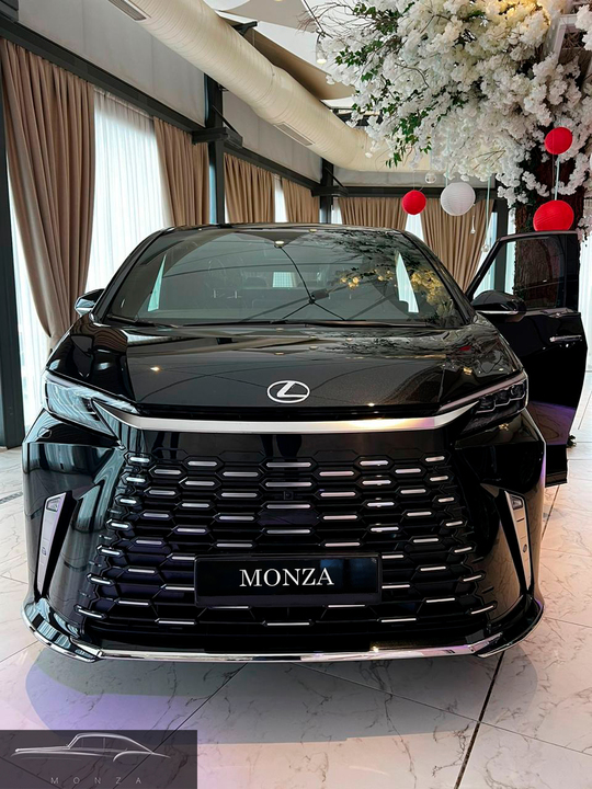 Lexus LM I, 2024 год, 25 000 000 рублей, 36 фотография