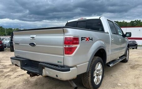 Ford F-150 XIII, 2010 год, 1 600 000 рублей, 4 фотография