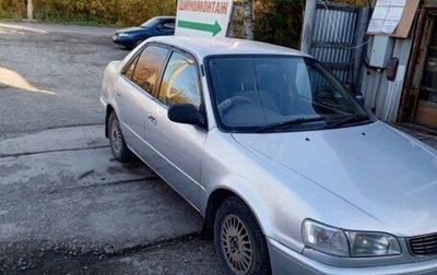 Toyota Corolla, 1996 год, 165 000 рублей, 1 фотография