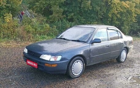 Toyota Corolla, 1992 год, 230 000 рублей, 1 фотография