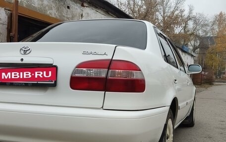 Toyota Corolla, 1998 год, 370 000 рублей, 4 фотография