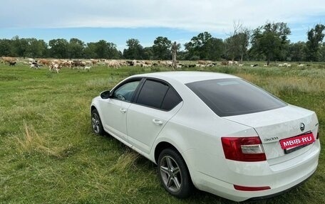 Skoda Octavia, 2014 год, 1 450 000 рублей, 3 фотография