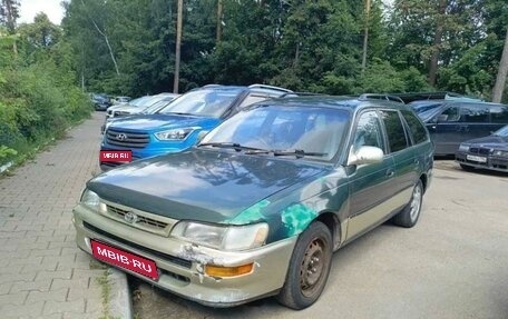 Toyota Corolla, 1996 год, 135 000 рублей, 1 фотография