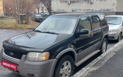 Ford Escape II, 2001 год, 400 000 рублей, 1 фотография