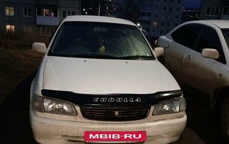 Toyota Corolla, 2000 год, 350 000 рублей, 2 фотография