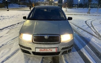 Skoda Fabia I, 2007 год, 300 000 рублей, 1 фотография