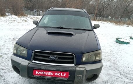 Subaru Forester, 2003 год, 800 000 рублей, 1 фотография