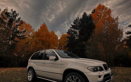 BMW X5, 2003 год, 1 450 000 рублей, 3 фотография