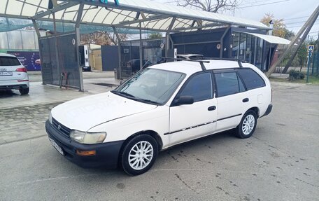 Toyota Corolla, 2001 год, 320 000 рублей, 6 фотография