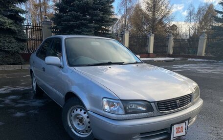 Toyota Corolla, 2000 год, 380 000 рублей, 1 фотография