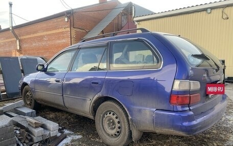 Toyota Corolla, 2000 год, 450 000 рублей, 4 фотография