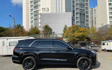 Hyundai Palisade I, 2024 год, 7 360 000 рублей, 2 фотография