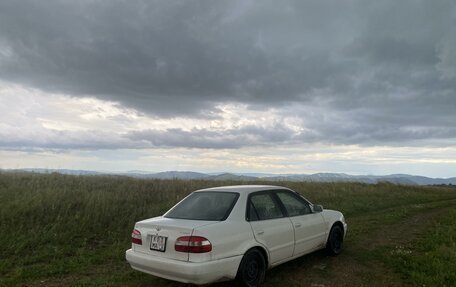 Toyota Corolla, 1997 год, 370 000 рублей, 4 фотография