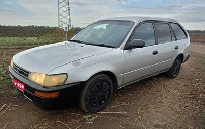 Toyota Corolla, 1993 год, 245 000 рублей, 1 фотография