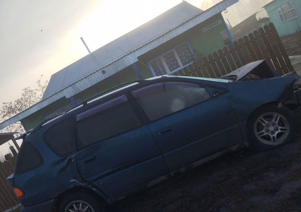 Toyota Ipsum, 1998 год, 250 000 рублей, 2 фотография