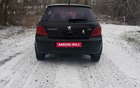 Peugeot 307 I, 2002 год, 267 000 рублей, 10 фотография