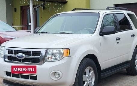 Ford Escape II, 2009 год, 1 370 000 рублей, 3 фотография