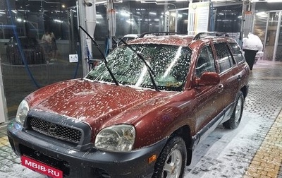 Hyundai Santa Fe III рестайлинг, 2003 год, 420 000 рублей, 1 фотография