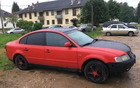 Volkswagen Passat B5+ рестайлинг, 1997 год, 295 000 рублей, 3 фотография