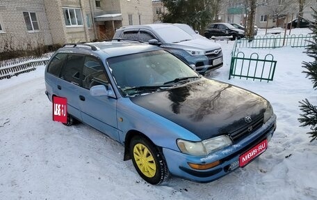 Toyota Corolla, 1995 год, 250 000 рублей, 1 фотография