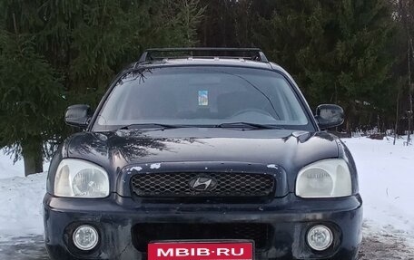 Hyundai Santa Fe III рестайлинг, 2003 год, 370 000 рублей, 1 фотография