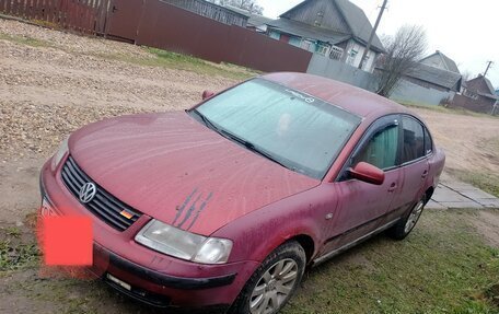 Volkswagen Passat B5+ рестайлинг, 1996 год, 250 000 рублей, 2 фотография