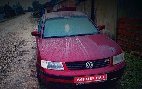 Volkswagen Passat B5+ рестайлинг, 1996 год, 250 000 рублей, 3 фотография