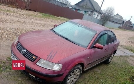 Volkswagen Passat B5+ рестайлинг, 1996 год, 250 000 рублей, 15 фотография