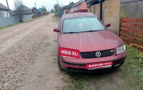 Volkswagen Passat B5+ рестайлинг, 1996 год, 250 000 рублей, 13 фотография