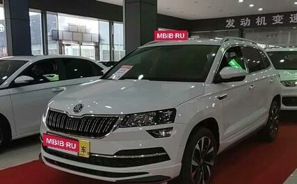 Skoda Karoq I, 2024 год, 2 785 000 рублей, 2 фотография