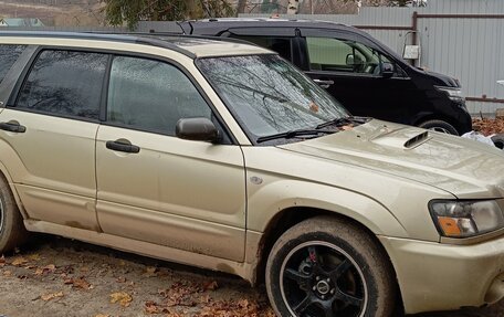 Subaru Forester, 2003 год, 800 000 рублей, 1 фотография