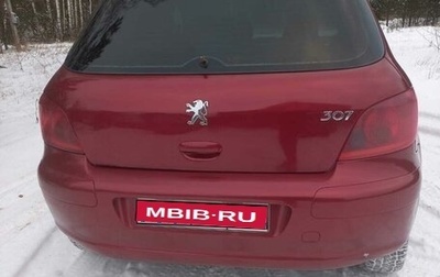 Peugeot 307 I, 2005 год, 300 000 рублей, 1 фотография