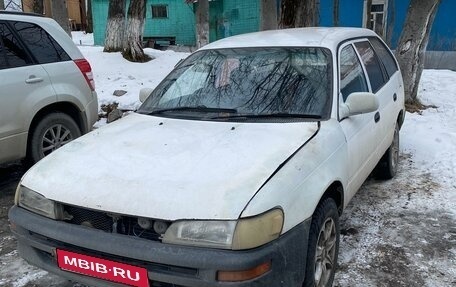 Toyota Corolla, 1997 год, 200 000 рублей, 1 фотография