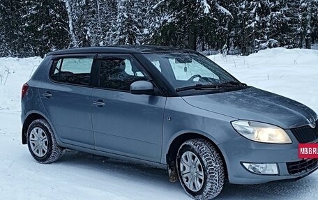 Skoda Fabia II, 2013 год, 520 000 рублей, 4 фотография