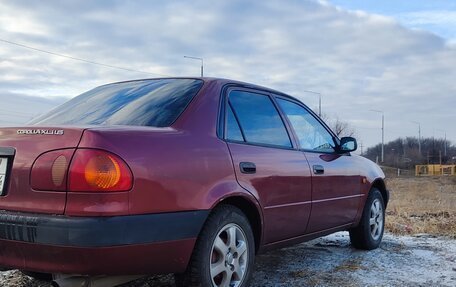 Toyota Corolla, 1998 год, 350 000 рублей, 5 фотография