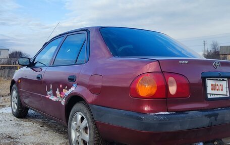 Toyota Corolla, 1998 год, 350 000 рублей, 3 фотография