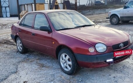 Toyota Corolla, 1998 год, 350 000 рублей, 2 фотография