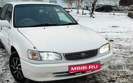 Toyota Corolla, 1999 год, 370 000 рублей, 3 фотография