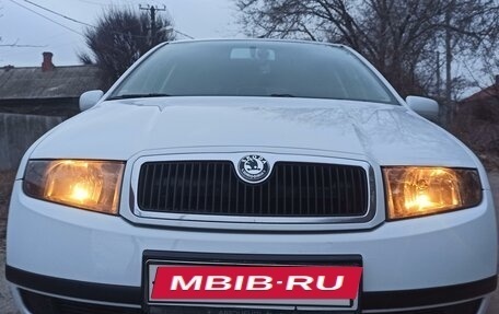 Skoda Fabia I, 2004 год, 850 000 рублей, 33 фотография