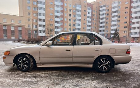 Toyota Corolla, 1994 год, 347 000 рублей, 2 фотография