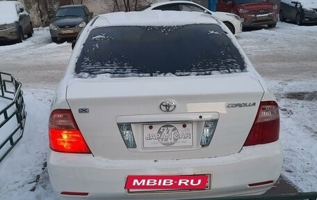 Toyota Corolla, 2004 год, 590 000 рублей, 10 фотография