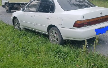 Toyota Corolla, 1991 год, 230 000 рублей, 1 фотография