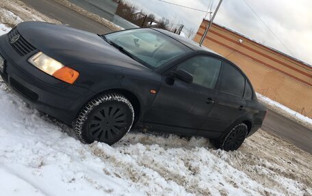 Volkswagen Passat B5+ рестайлинг, 1999 год, 340 000 рублей, 1 фотография