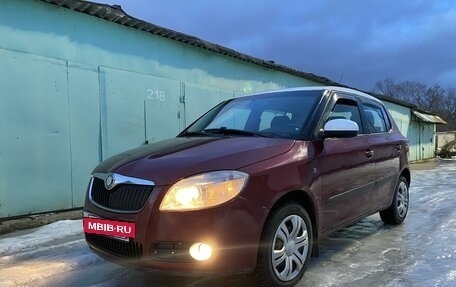 Skoda Fabia II, 2009 год, 385 000 рублей, 23 фотография