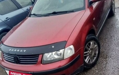 Volkswagen Passat B5+ рестайлинг, 1999 год, 350 000 рублей, 1 фотография