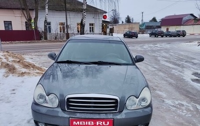 Hyundai Sonata IV рестайлинг, 2006 год, 500 000 рублей, 1 фотография